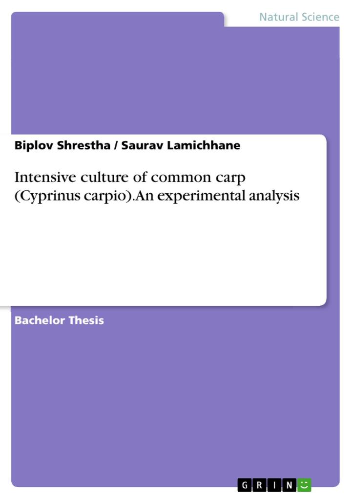 Intensive culture of common carp (Cyprinus carpio). An experimental analysis