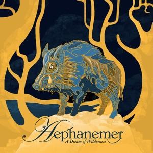 Spv Schallplatten Produktion und Vertrieb GmbH i.I. / A Dream Of Wilderness