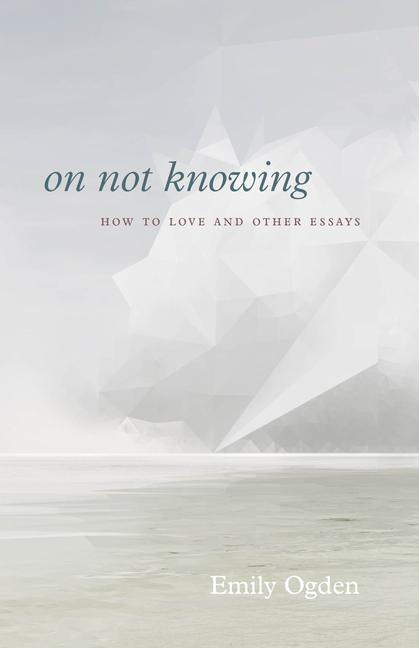 Image of On Not Knowing
