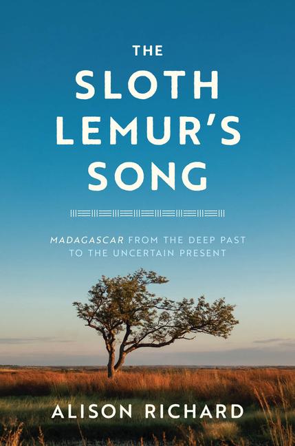 The Sloth Lemur‘s Song
