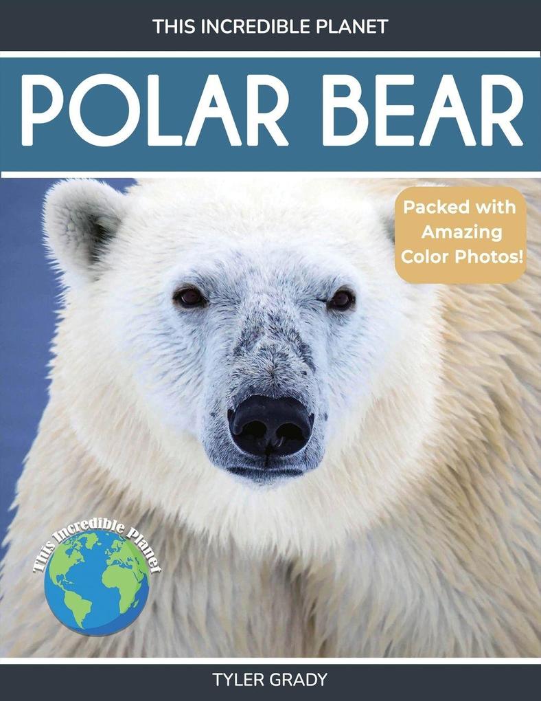 Polar Bear