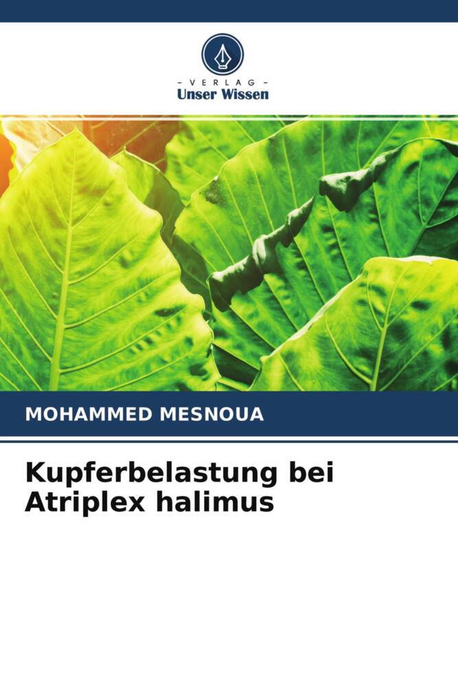 Kupferbelastung bei Atriplex halimus