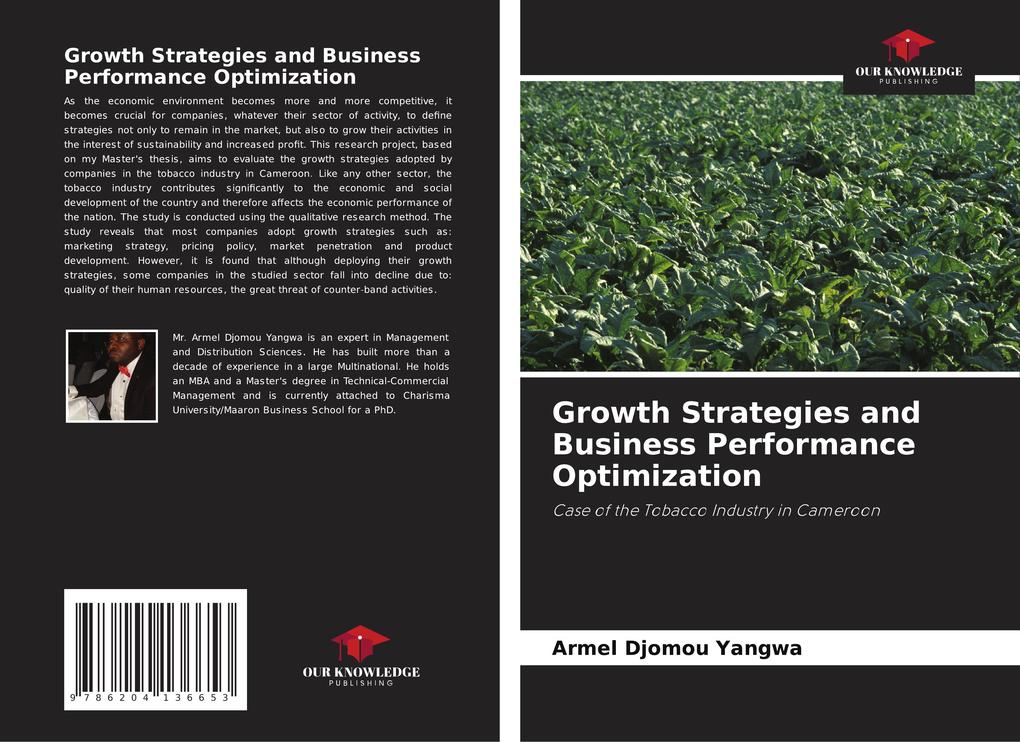 Growth Strategies and Business Performance Optimization