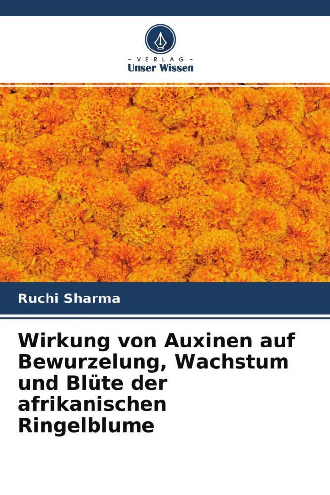 Wirkung von Auxinen auf Bewurzelung Wachstum und Blüte der afrikanischen Ringelblume