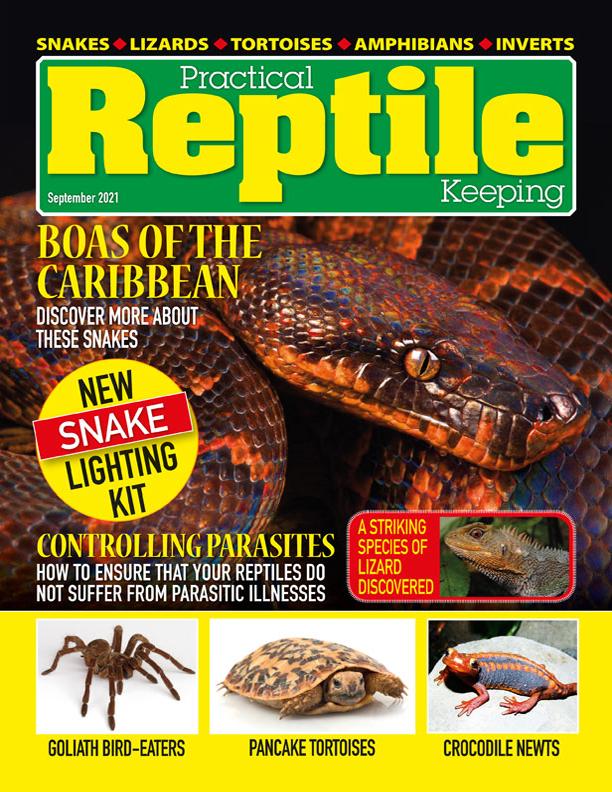 Practical Reptile Keeping - September 2021