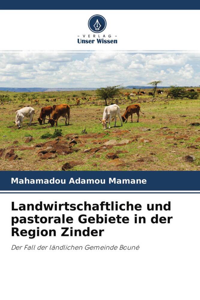 Landwirtschaftliche und pastorale Gebiete in der Region Zinder
