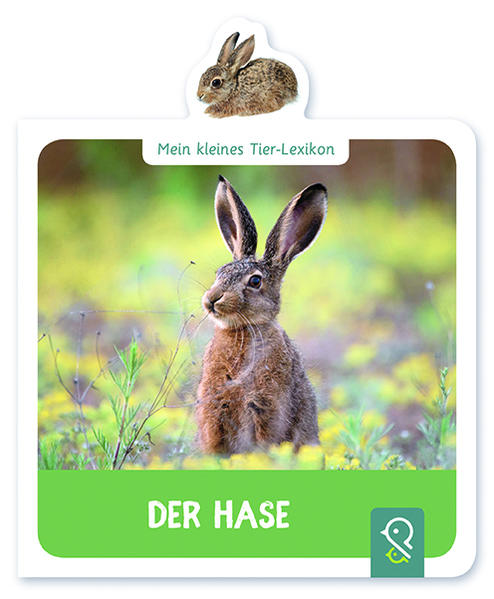 Image of Der Hase, Pappband