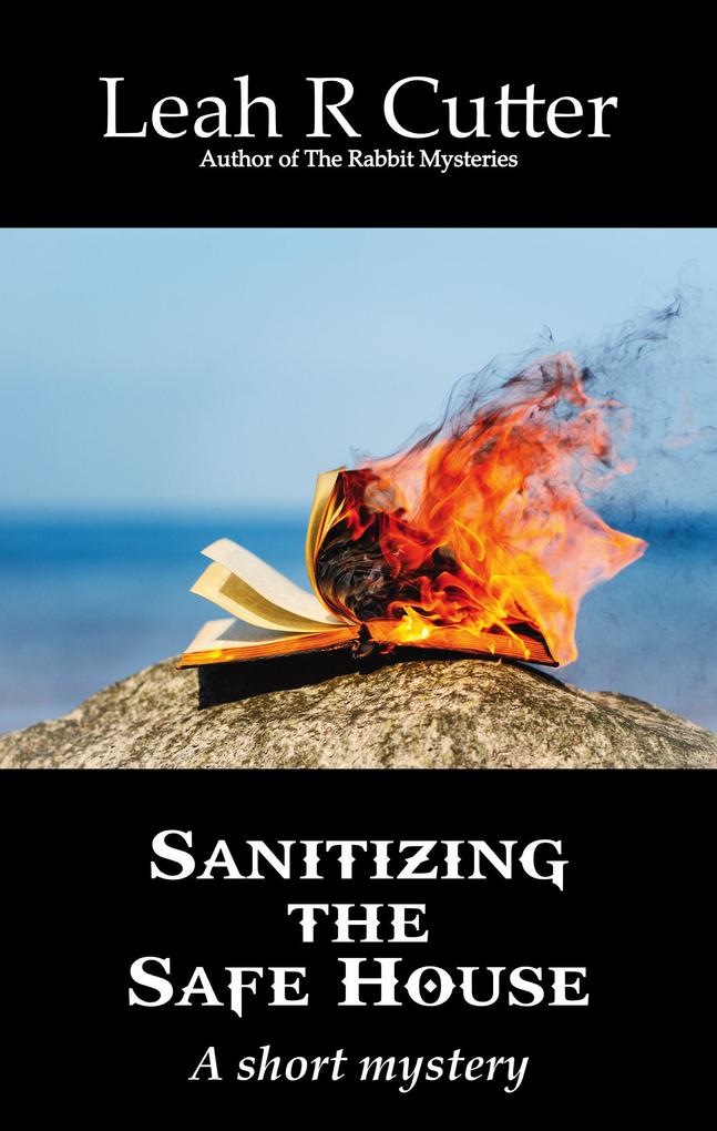 Sanitizing the Safe House