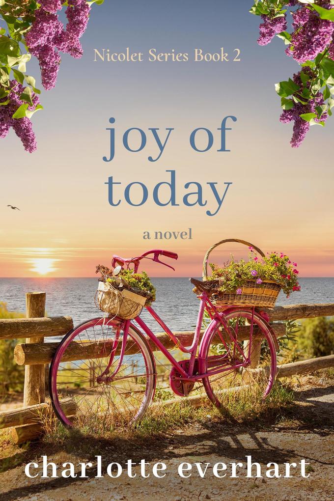 Joy of Today (Nicolet Series #2)