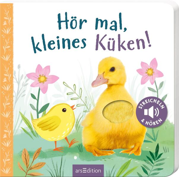 Hör mal kleines Küken!