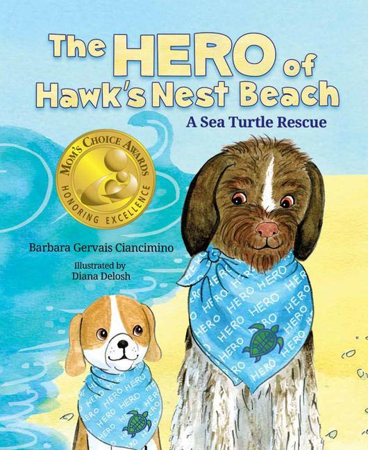 Hero of Hawks Nest Beach a Sea