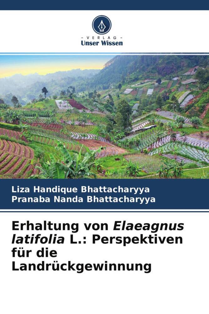 Erhaltung von Elaeagnus latifolia L.: Perspektiven für die Landrückgewinnung