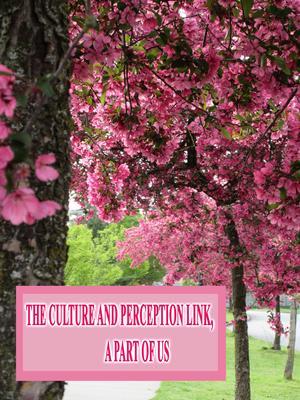 The Culture and Perception Link A Part of Us