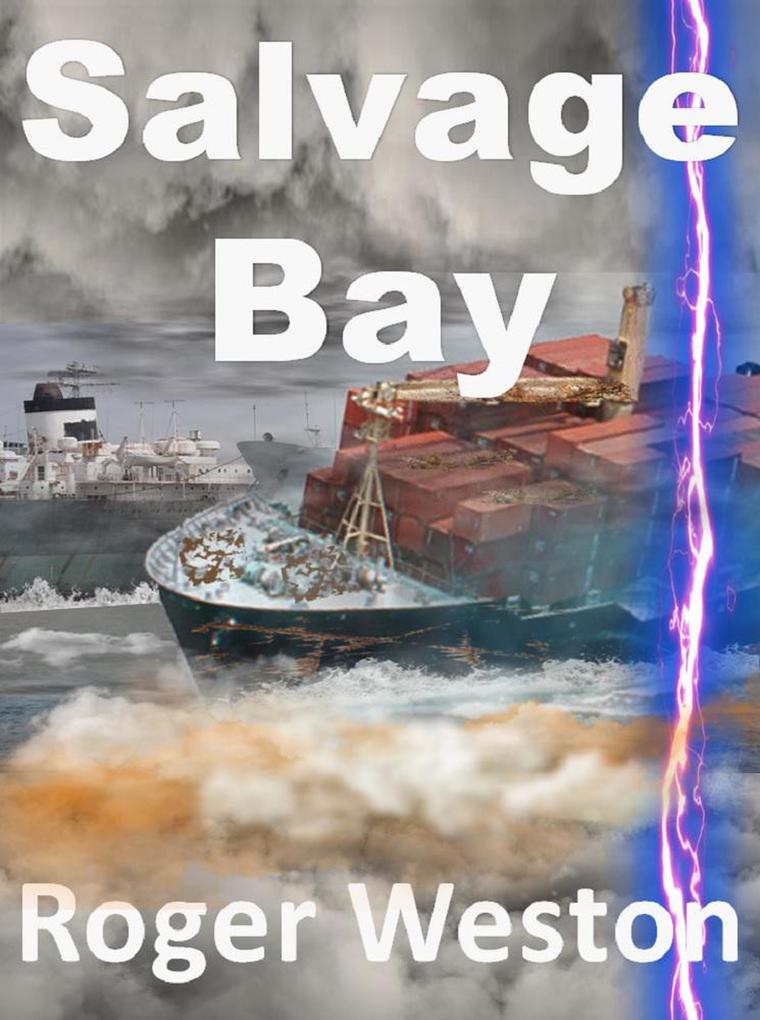 Salvage Bay