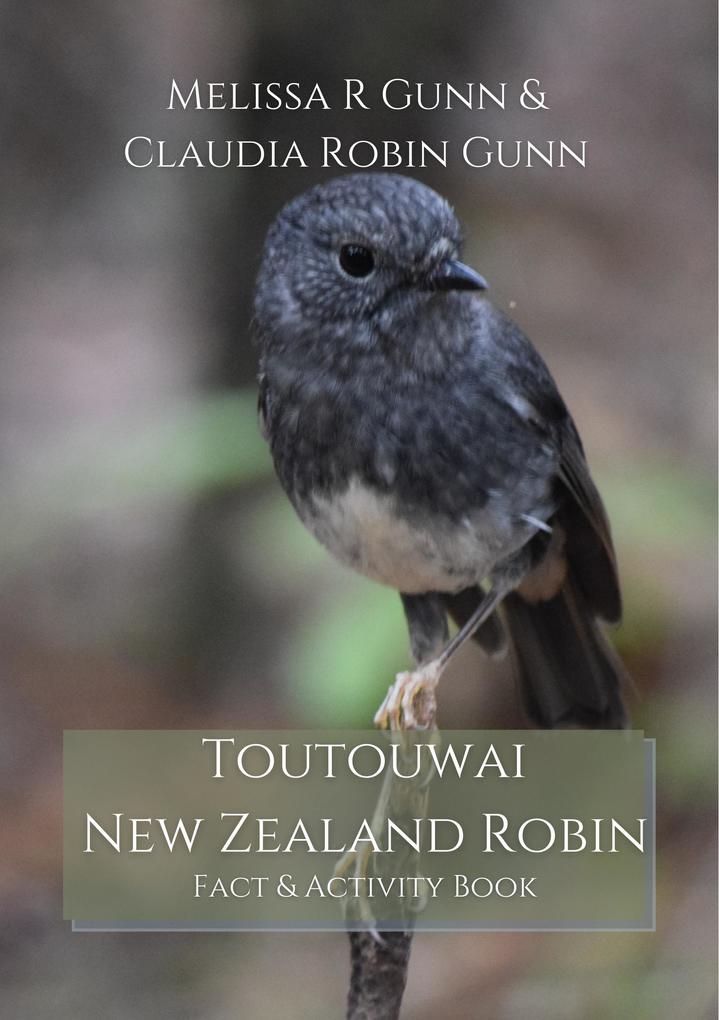Toutouwai New Zealand Robin