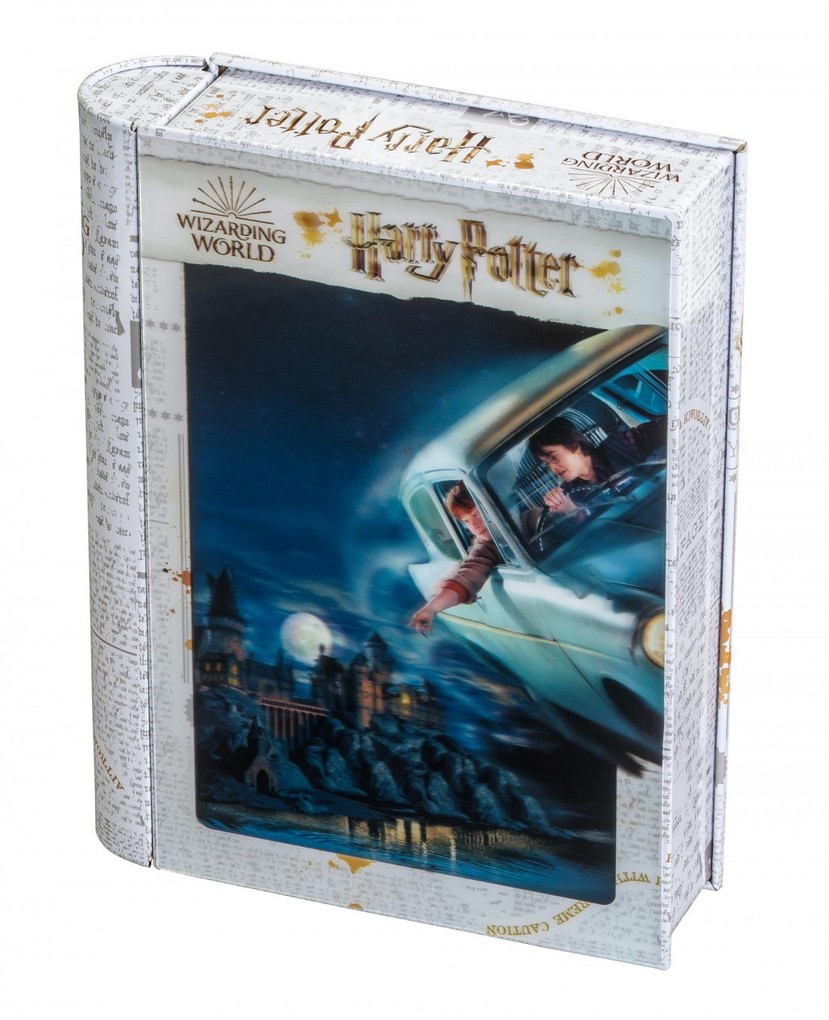 Philos 9043 - Philos 9042 - Wizarding World Harry Potter Harry & Ron 3D-Puzzle in Sammlerbox 300 Teile