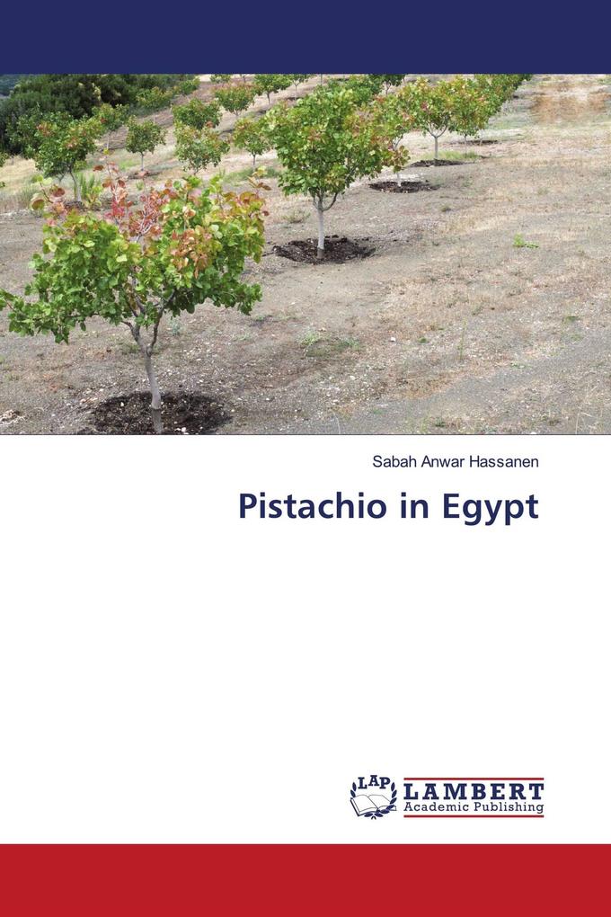 Pistachio in Egypt