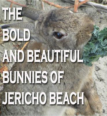 The Bold and Beautiful Bunnies of Jericho Beach