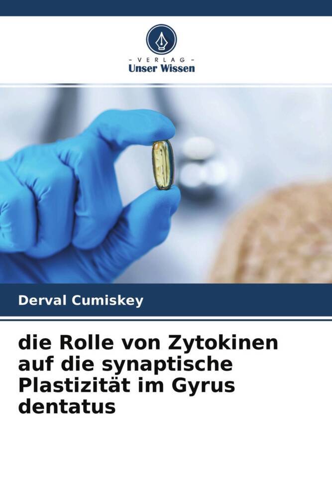 die Rolle von Zytokinen auf die synaptische Plastizität im Gyrus dentatus