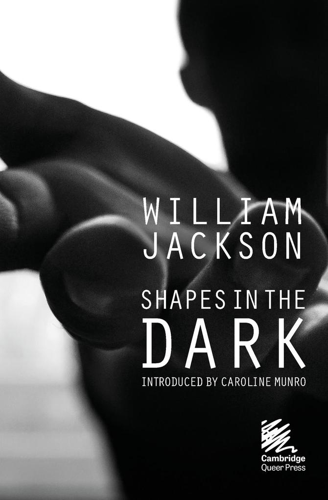 Shapes in the Dark