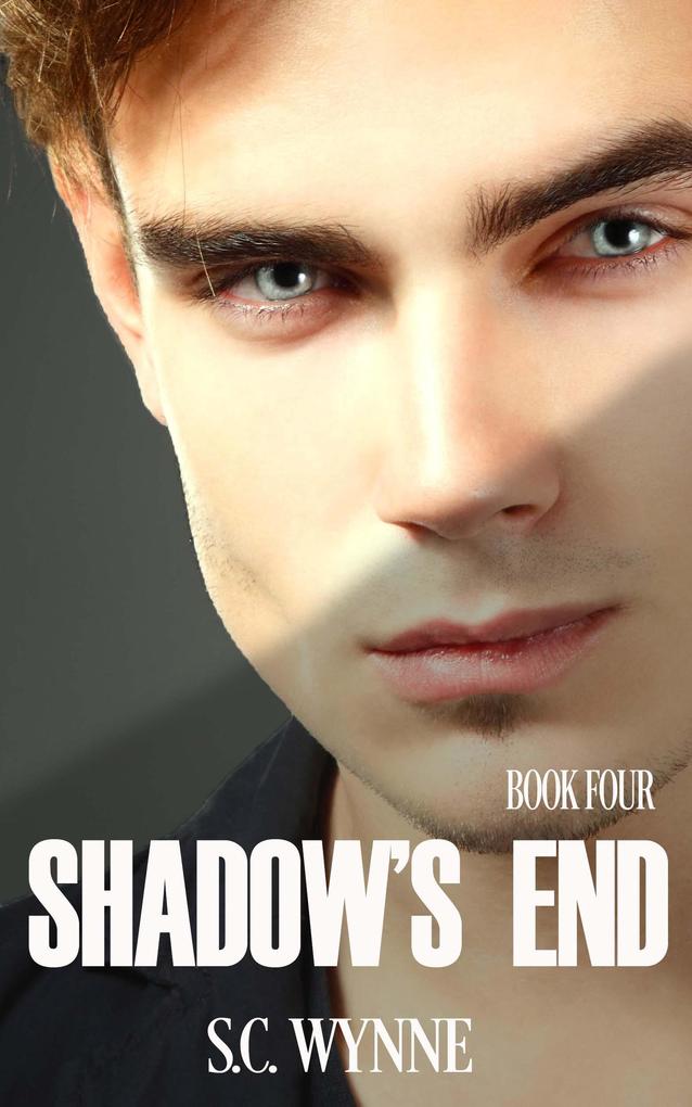 Shadow's End (Psychic Mysteries Series #4)
