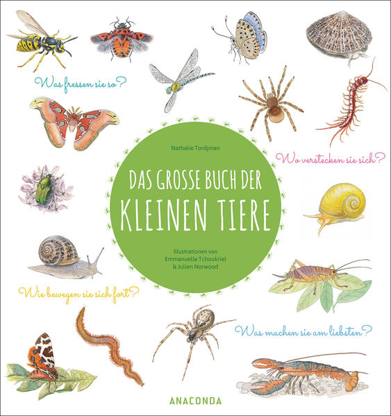 Image of Das große Buch der kleinen Tiere