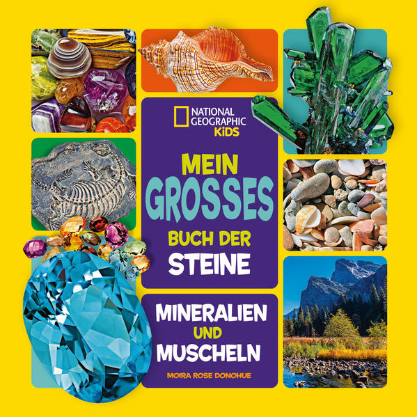 Mein großes Buch der Steine Mineralien und Muscheln