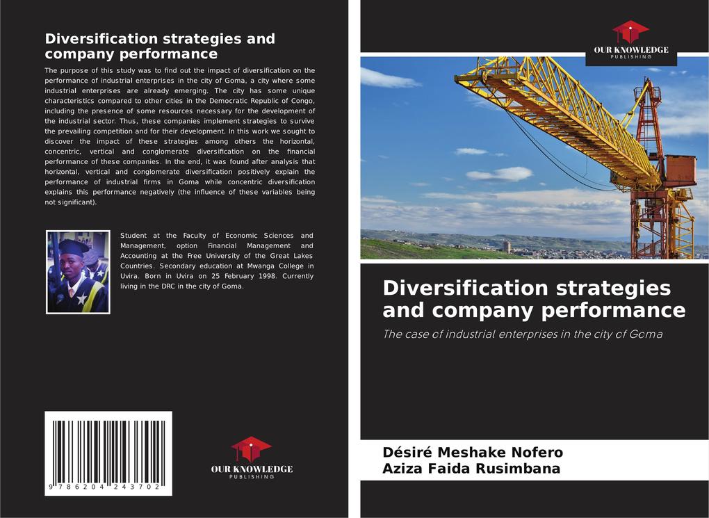 Diversification strategies and company performance