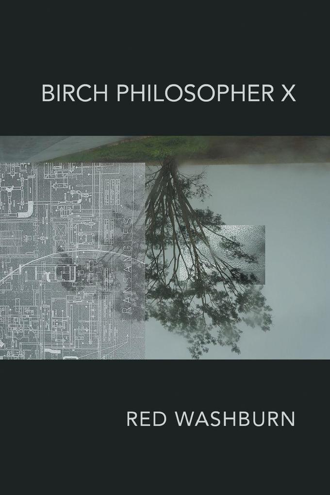 Birch Philosopher X