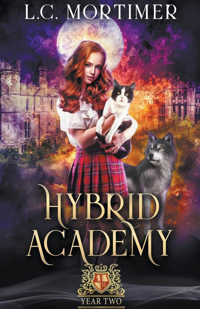 Image of Hybrid Academy