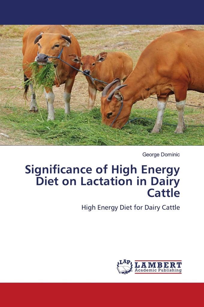 Significance of High Energy Diet on Lactation in Dairy Cattle