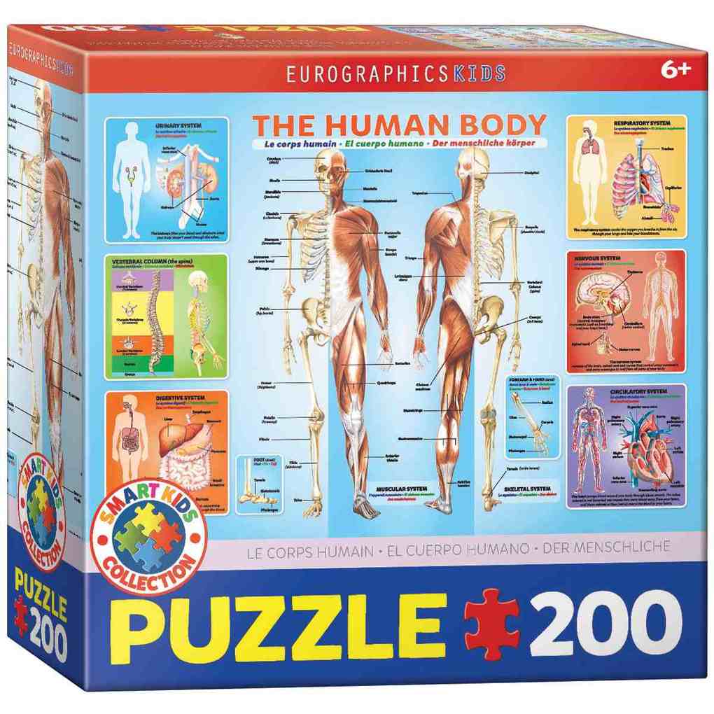 Eurographics 6200-1000 - Der menschliche Körper Puzzle 200 Teile