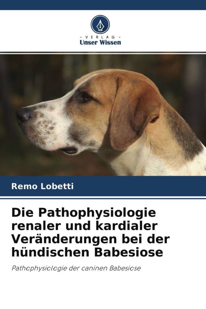 Die Pathophysiologie renaler und kardialer Veränderungen bei der hündischen Babesiose