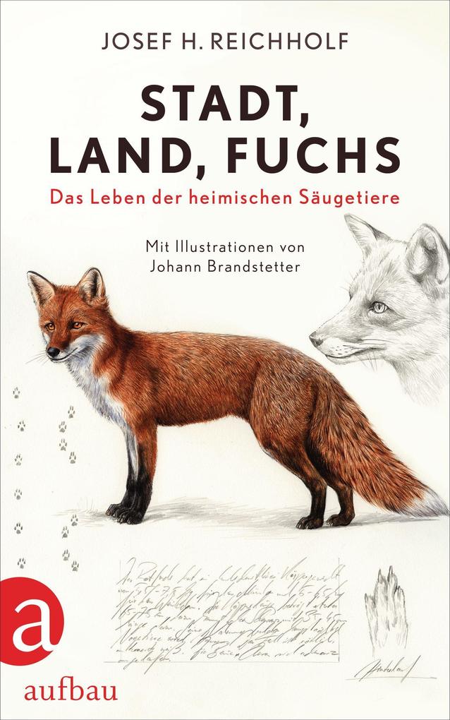 Stadt Land Fuchs