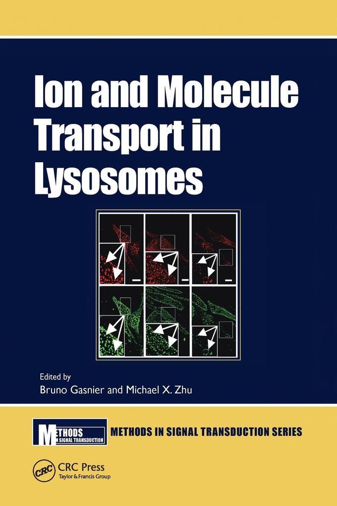 Ion and Molecule Transport in Lysosomes