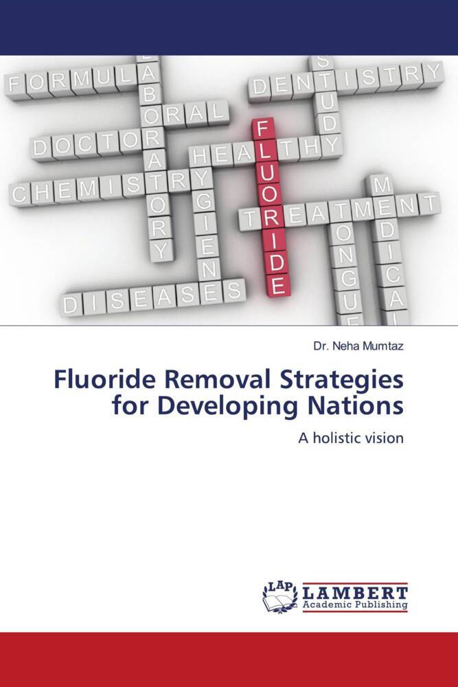 Fluoride Removal Strategies for Developing Nations