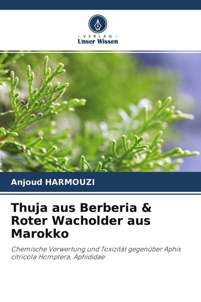 Thuja aus Berberia & Roter Wacholder aus Marokko