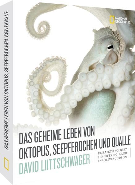 Das geheime Leben von Oktopus Seepferdchen und Qualle