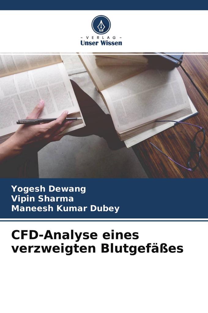 CFD-Analyse eines verzweigten Blutgefäßes