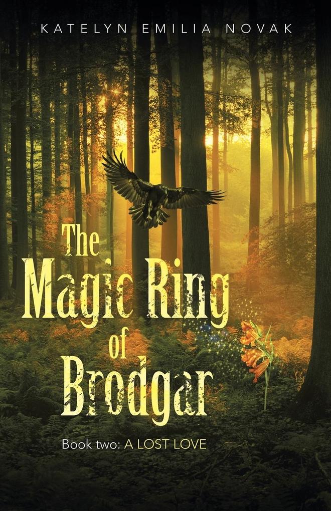 The Magic Ring of Brodgar: Book Two: a Lost Love