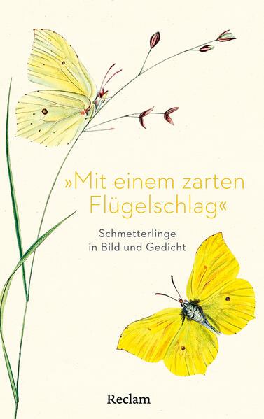 »Mit einem zarten Flügelschlag«