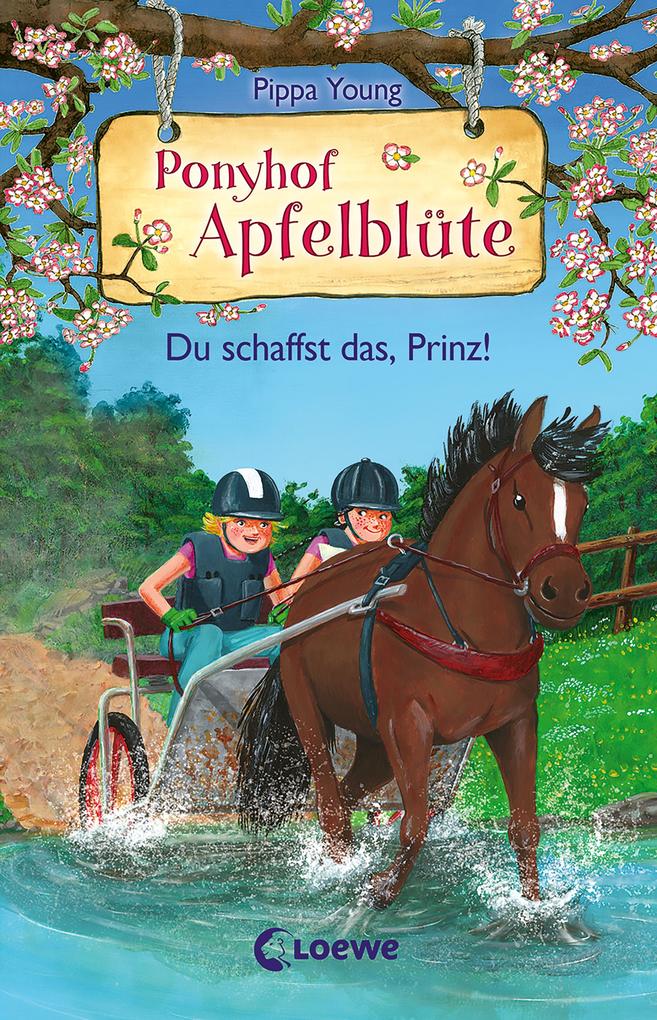 Image of Du schaffst das, Prinz! / Ponyhof Apfelblüte Bd.19