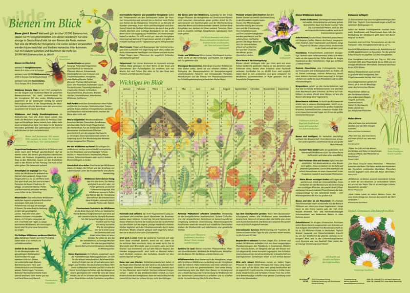 Erlebnisposter 'Bienen im Blick'