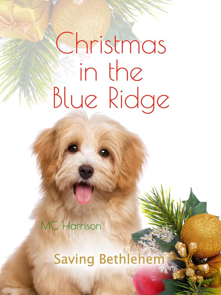 Christmas in the Blue Ridge Saving Bethlehem