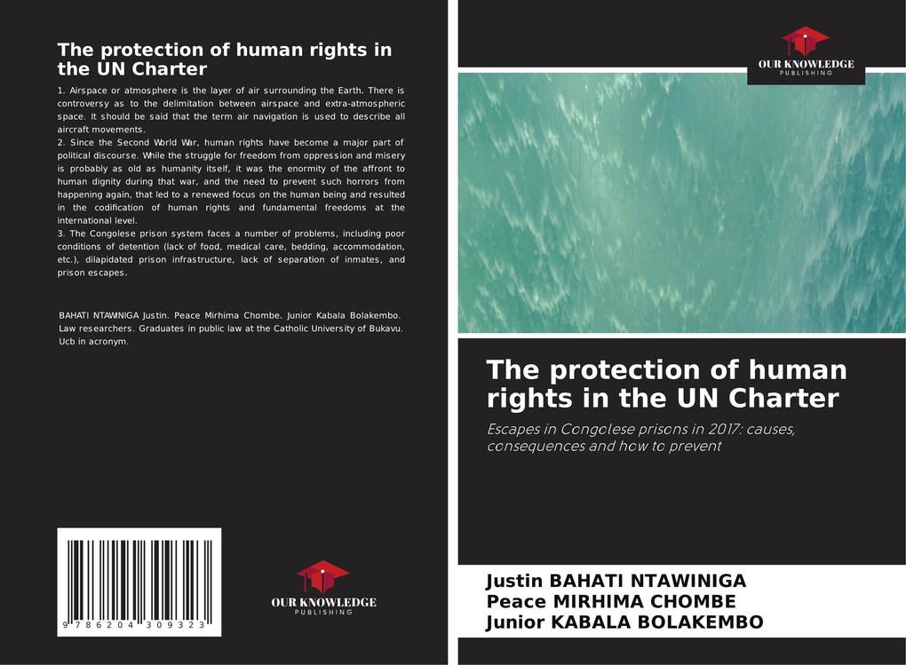 The protection of human rights in the UN Charter