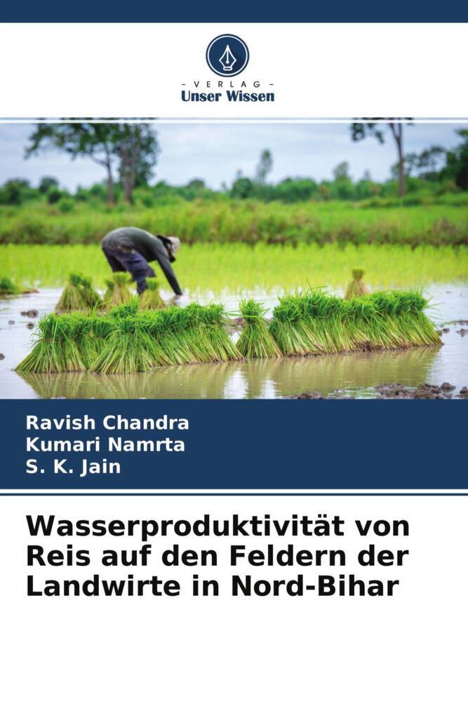 Wasserproduktivität von Reis auf den Feldern der Landwirte in Nord-Bihar