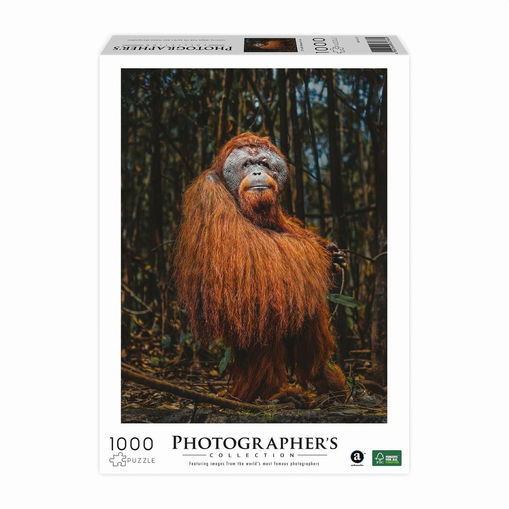 Ambassador - Orang-Utan Donal Boyd 1000 Teile