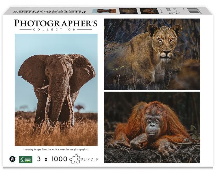 Ambassador - Wildtiere Blickkontakt Donal Boyd 3x1000 Teile