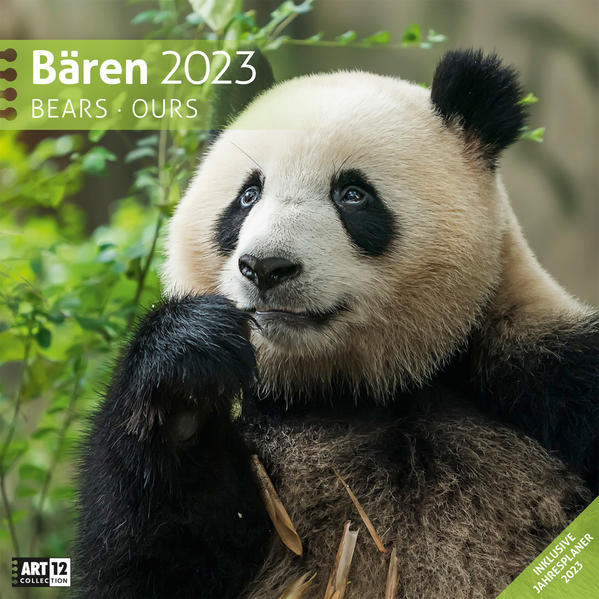 Image of Bären Kalender 2023 - 30x30