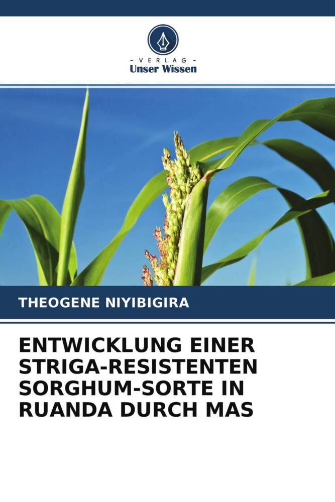ENTWICKLUNG EINER STRIGA-RESISTENTEN SORGHUM-SORTE IN RUANDA DURCH MAS